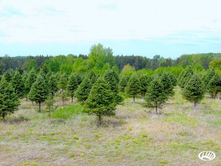 Property in Marathon County, Wisconsin