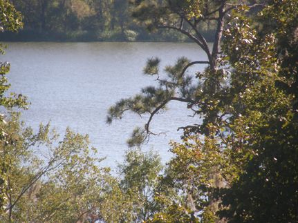 Property in Wilcox County, Alabama