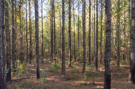 Property in Escambia County, Alabama