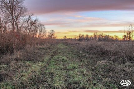 Property in Pike County, Missouri