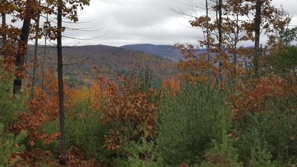 Property in Grafton County, New Hampshire