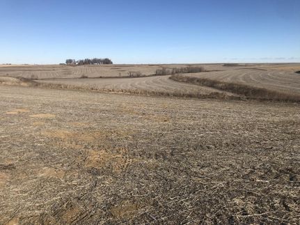 Property in Shelby County, Iowa