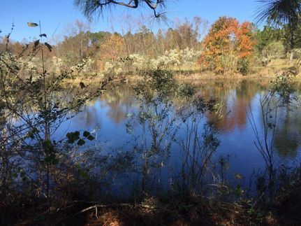 Property in Geneva County, Alabama