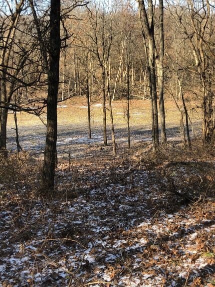 Property in Scotland County, Missouri