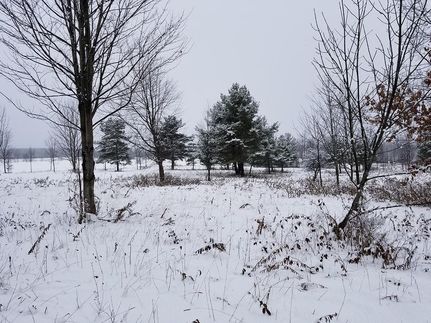 Property in Schuyler County, New York