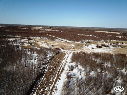 Property in Roseau County, Minnesota