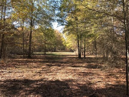 Property in Franklin County, Texas