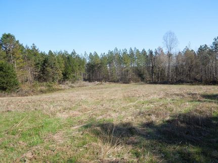 Property in Caswell County, North Carolina