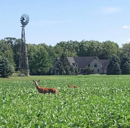 Property in Saint Clair County, Michigan