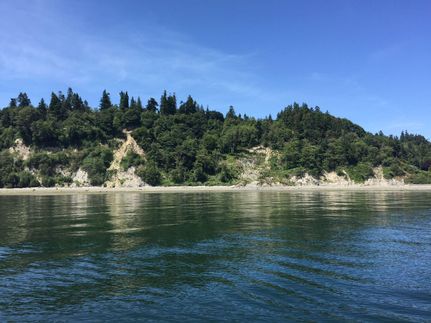 Property in Island County, Washington