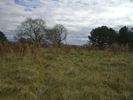 Property in Jackson County, Alabama