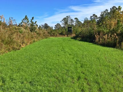 Property in Clarke County, Alabama