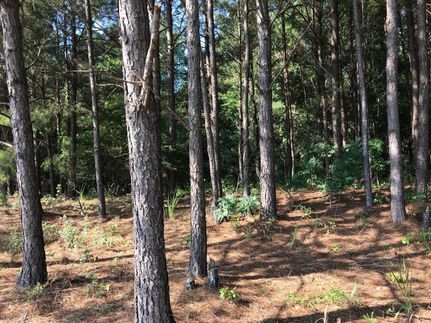 Property in Pickens County, Alabama