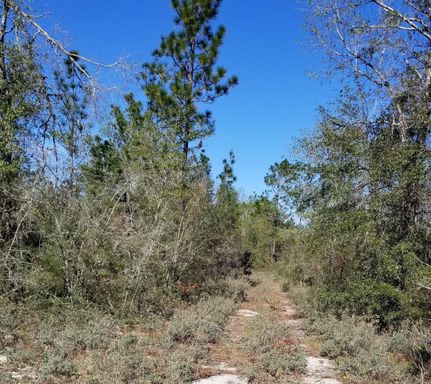 Property in Calhoun County, Florida