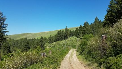 Property in Columbia County, Washington