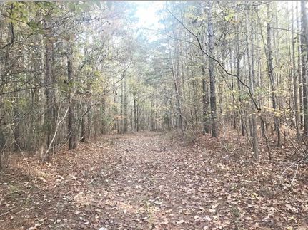 Property in Tuscaloosa County, Alabama