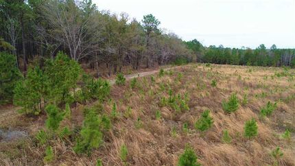 Property in Telfair County, Georgia