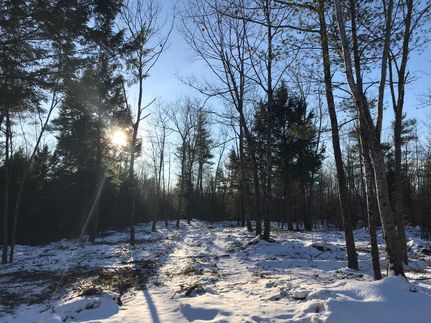 Property in Oxford County, Maine