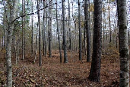 Property in Chowan County, North Carolina
