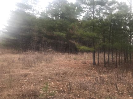 Property in Hardeman County, Tennessee