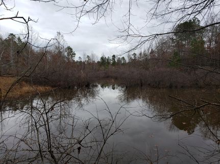 Property in Miller County, Arkansas