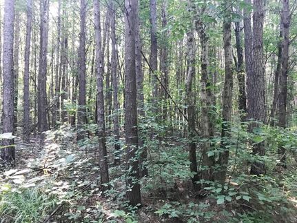 Property in Jefferson County, Alabama