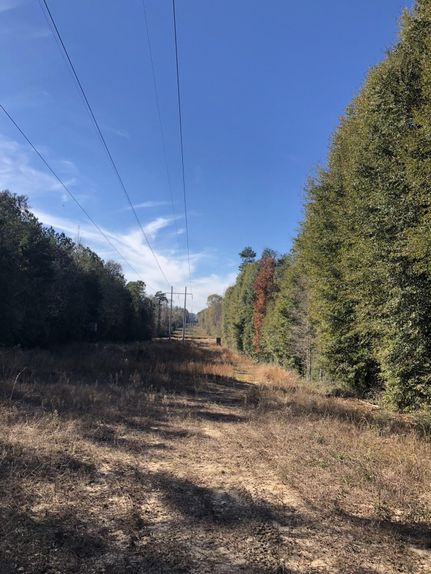 Property in Covington County, Alabama