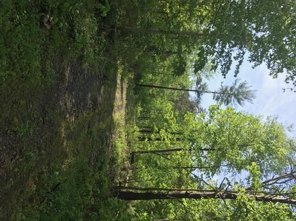 Property in Juniata County, Pennsylvania