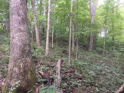 Property in Adams County, Ohio