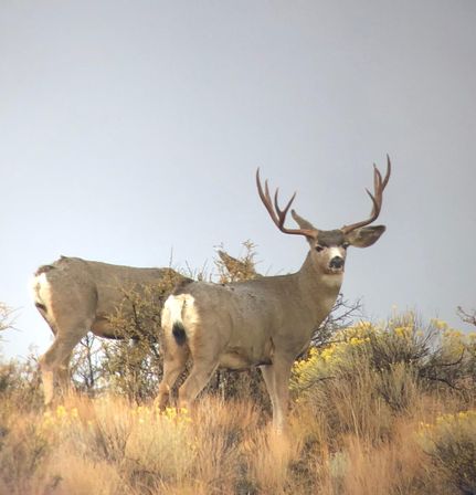 Property in Grant County, Oregon
