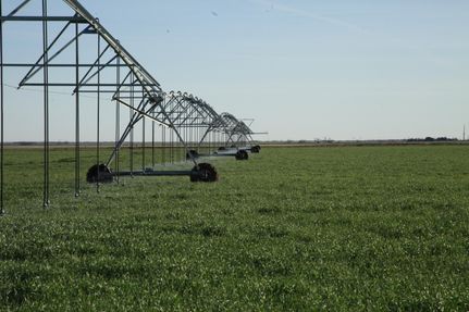 Property in Knox County, Texas