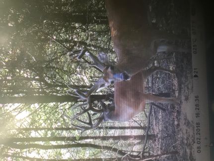 Property in Muhlenberg County, Kentucky