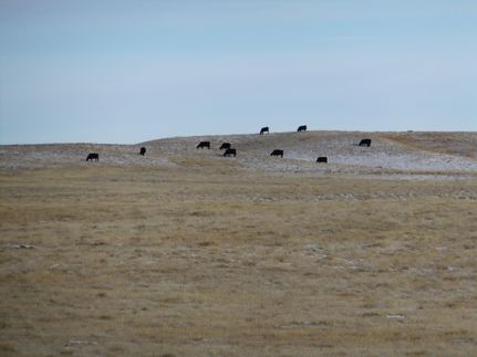 Property in Prairie County, Montana