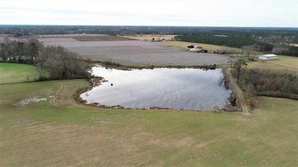 Property in Brantley County, Georgia