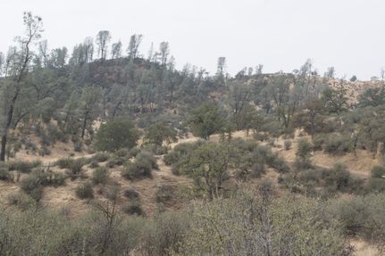 Property in Shasta County, California