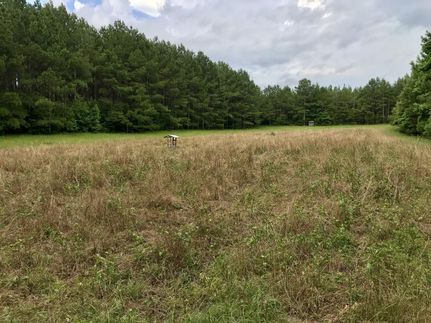 Property in Lauderdale County, Mississippi