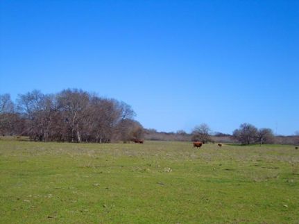 Property in Limestone County, Texas