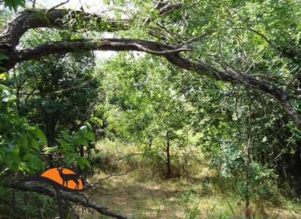 Property in Limestone County, Texas