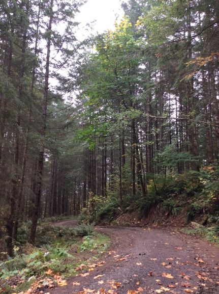 Property in Cowlitz County, Washington