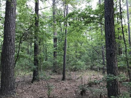 Property in Ouachita County, Arkansas