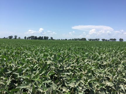 Property in Mississippi County, Arkansas