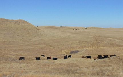 Property in Custer County, Montana