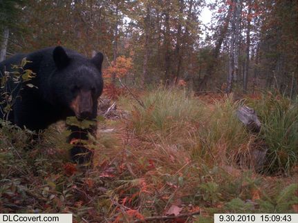 Property in Washington County, Maine