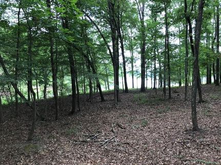 Property in Hardeman County, Tennessee