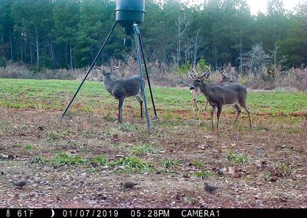 Property in Cherokee County, South Carolina