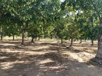 Property in Tulare County, California