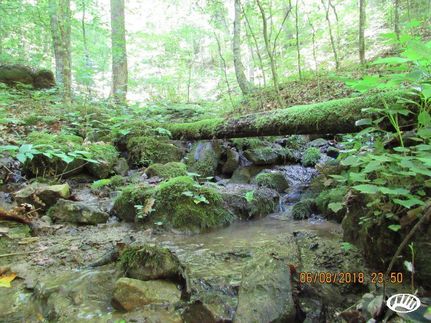 Property in Hancock County, Tennessee