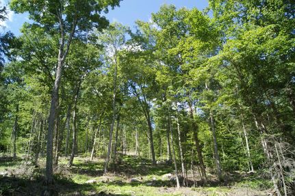 Property in Grafton County, New Hampshire