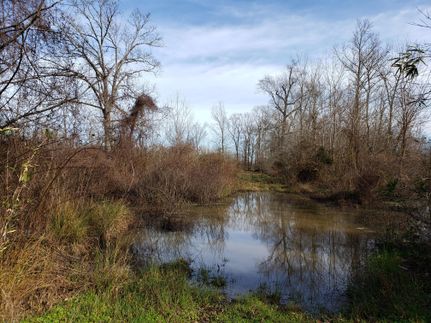 Property in Miller County, Arkansas