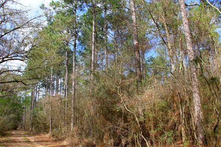 Property in Baldwin County, Alabama